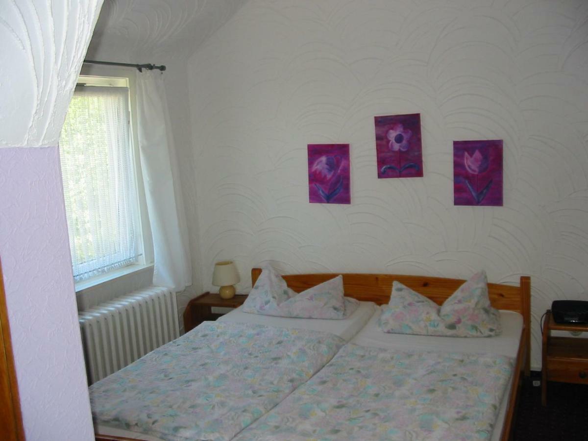 Pension Sonnenhof ブラウンラーゲ エクステリア 写真